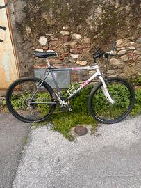 Bici mtb 26