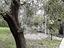 Immagine 13