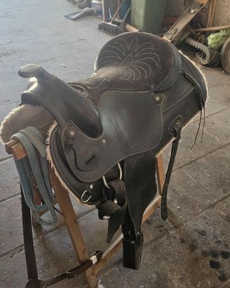 Sella americana equitazione