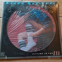 LP Linda: Ronstadt Living In The USA - Limited Ed.