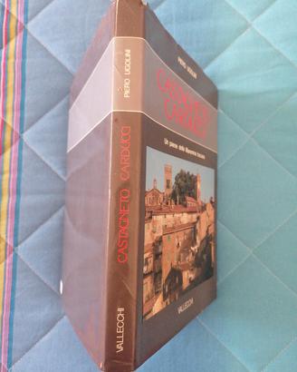 Castagneto Carducci.Un paese della Maremma toscana