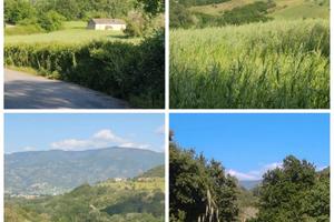 Terreno con nucleo rurale a Montalto U. (Cosenza)