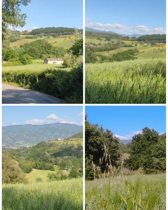 Terreno con nucleo rurale a Montalto U. (Cosenza)