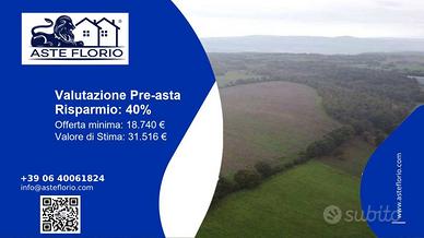 Immobile in asta di 28300 m² a Castel Giorgio