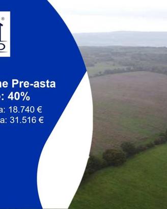 Immobile in asta di 28300 m² a Castel Giorgio