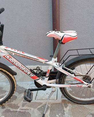 bicicletta bambino 