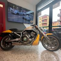 Harley-davidson 1130 V-ROD - VRSCR