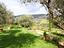 Immagine 18