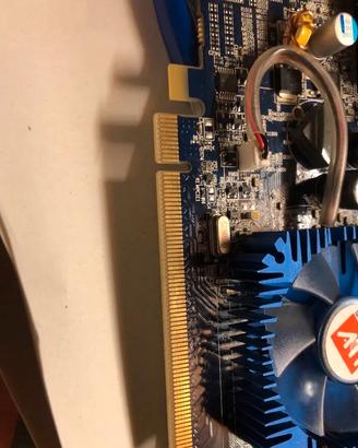 Scheda video desktop old