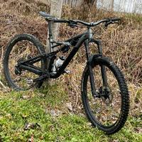 Specialized 29