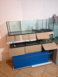 Vasche da acquario espositive solo vetro