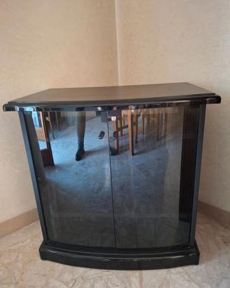 Mobile tv