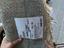 Immagine 3