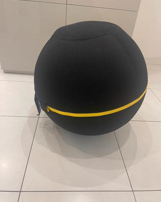 Wellness ball active Technogym
