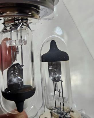 coppia lampadine alogene h4