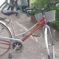 bicicletta 