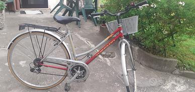 bicicletta 