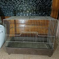 Gabbia zincata per uccelli senza accessori