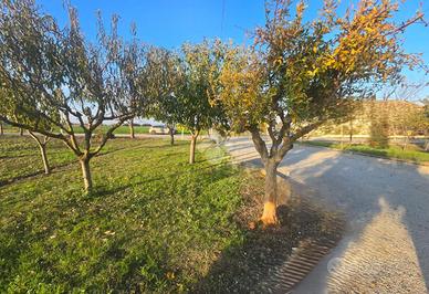 BIFAMILIARE A RIMINI