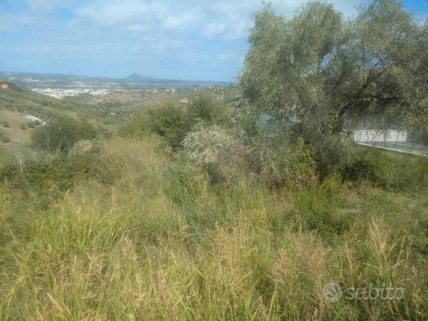 Terreno Agricolo Monterotondo - Vista 4