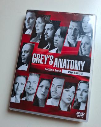 Grey's Anatomy - Stagione 7 DVD