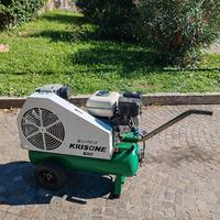 Compressore a motore raccolta olive sbaraglia