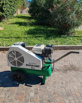 Compressore a motore raccolta olive sbaraglia