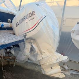 Fuoribordo Evinrude E-tec G1 250 cv