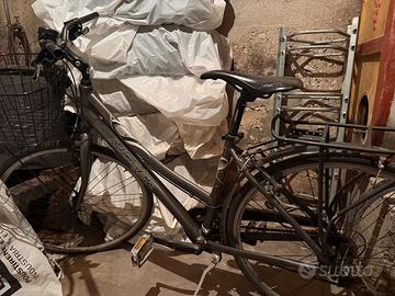 Bici da città sportiva