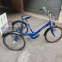 Bicicletta Cargo tre ruote 