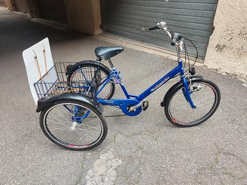 Bicicletta Cargo tre ruote 