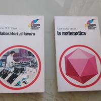 2 x I COLIBRI - Elaboratori al lavoro e La matemat