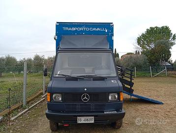 Van trasporto due cavalli