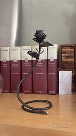 Rosa Saldata (leggere bene descrizione)