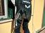 Immagine 3