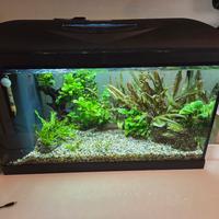 Acquario modello wave 60lt