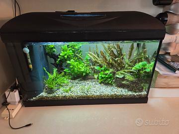Acquario modello wave 60lt