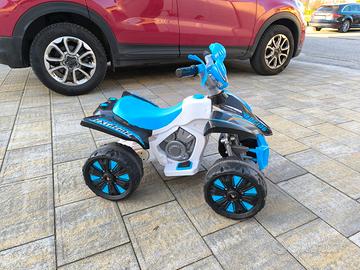 Quad elettrico