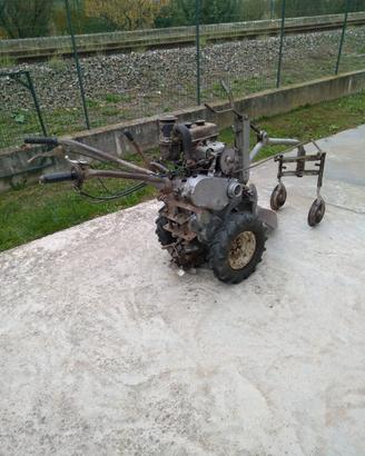 Moto aratro Berta