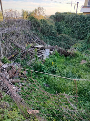 Terreno agricolo