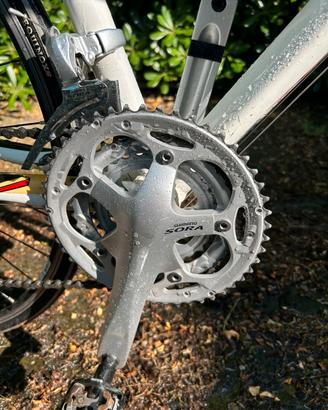 Bici alluminio carbonio shimano