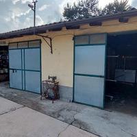 RGE 99/2024 Trib Pavia - LOTTO 3