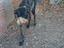Immagine 5