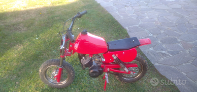 Minimoto Cimati