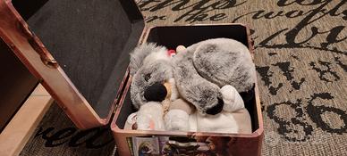 baule contenitore giochi