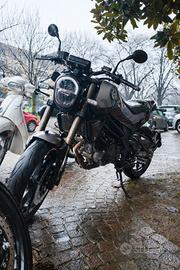 Benelli Leoncino 125 - 2023