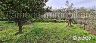 Terreno 1300 mq in parte edificabile Piedimonte