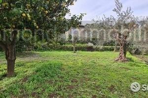 Terreno 1300 mq in parte edificabile Piedimonte