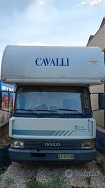 van cavalli usato 