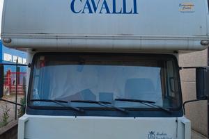 van cavalli usato 